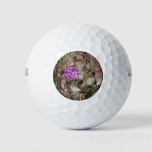 Purple Verbena And White Pincushion Wildflowers Go Golf Balls