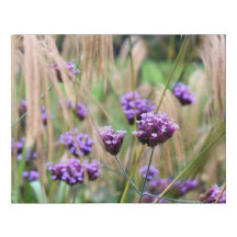 Purple Verbena Gold Grass Faux Wrap Canvas Small