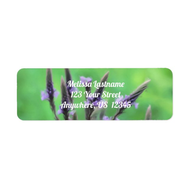 Purple Vervain Wildflower Painting Address (Front)