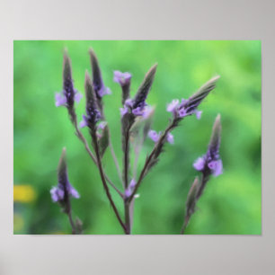 Purple Vervain Wildflower Photo Painting Poster