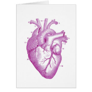 Purple Vintage Heart Anatomy