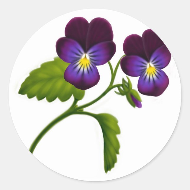 Purple Viola Pansy Flowers Classic Round Sticker (Front)