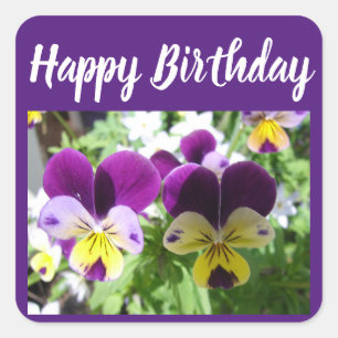 Purple Viola Pansy Pretty Flower floral Card Square Sticker