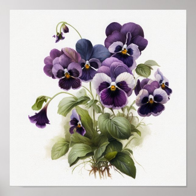 Purple Violas Flower Art Print Poster (Front)