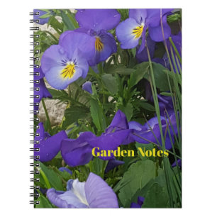 Purple Violas In A Garden Container Notebook