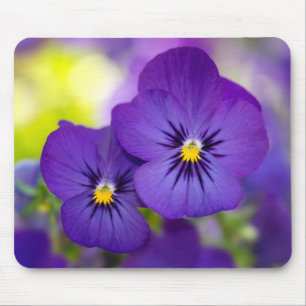 Purple Violas Mouse Mat