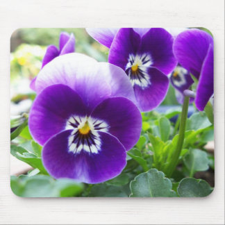 Purple Violas Mouse Mat