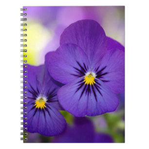 Purple Violas Notebook