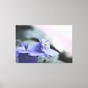 Purple Violet Floral Canvas Print