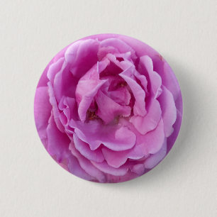 Purple Violet Flower Rose 6 Cm Round Badge