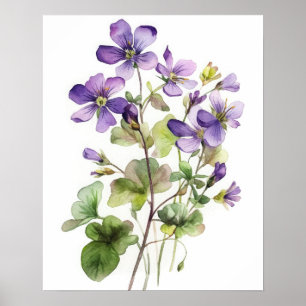 Purple Violet Flowers Art Print Poster