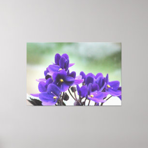 Purple Violets Canvas Print
