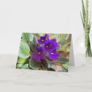 Purple Violets Card