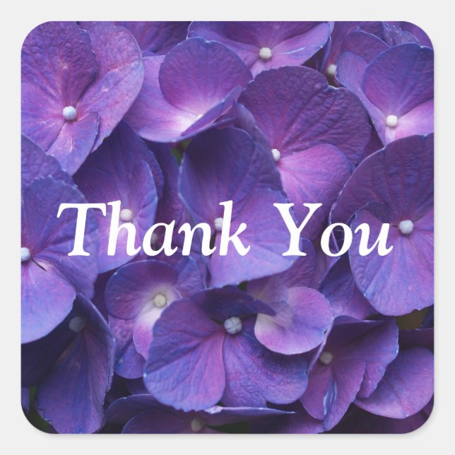 Purple Viollet Hydrangea ThankYou Sticker (Front)