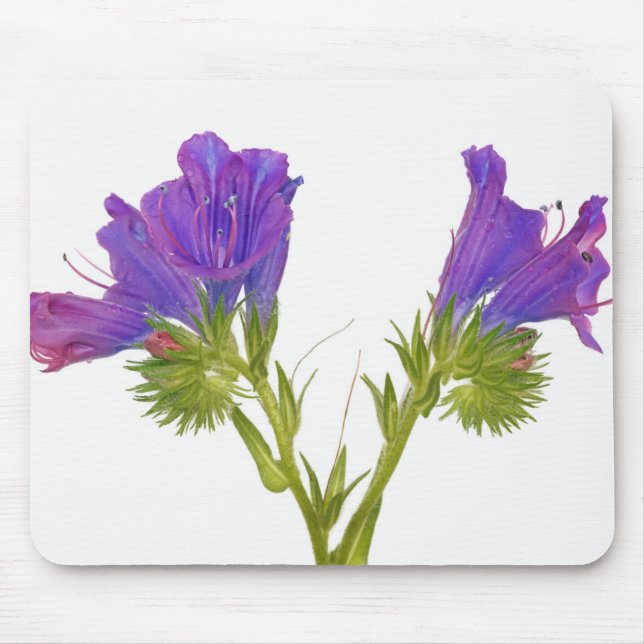 Purple vipers bugloss (echium plantagineum) mouse mat (Front)