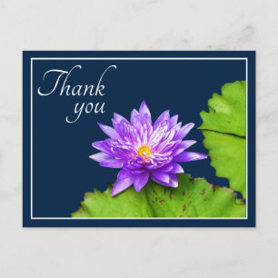 Purple Water Lily And Pad In Blue Water Thank You Postcard