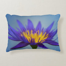Purple Water Lily