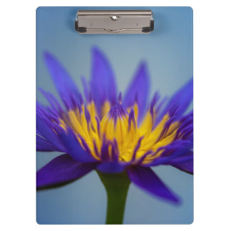 Purple Water Lily Flower Clipboard