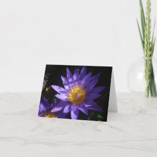 Purple Water Lily Note Card
