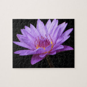 Purple Water Lily Puzzle