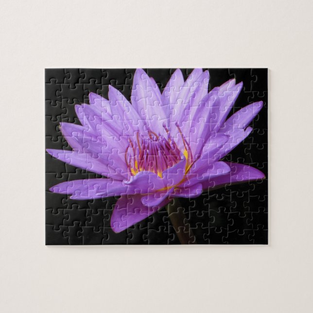 Purple Water Lily Puzzle (Horizontal)