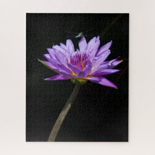 Purple Waterlily Dragonfly Jigsaw Puzzle