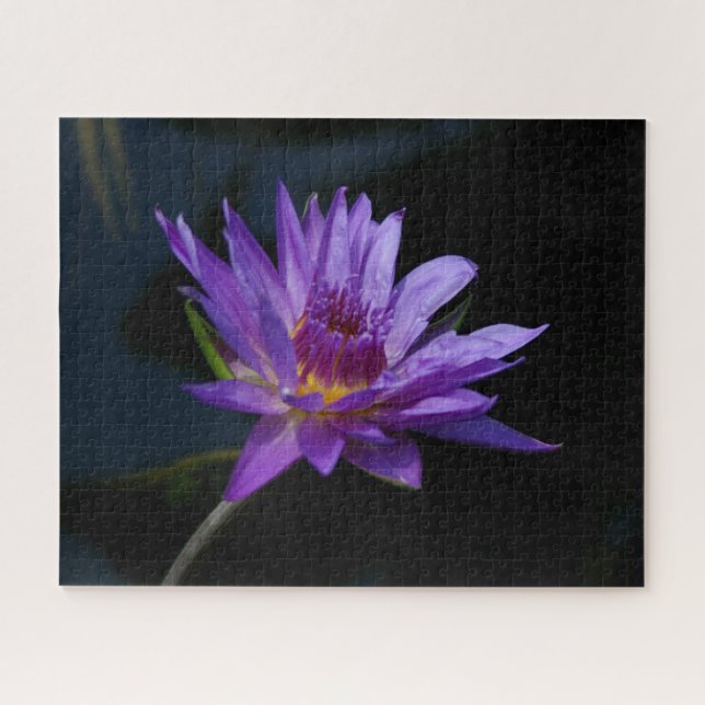 Purple Waterlily Jigsaw Puzzle (Horizontal)