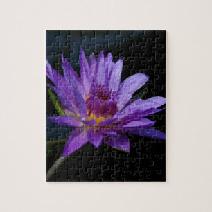 Purple Waterlily Lotus Jigsaw Puzzle