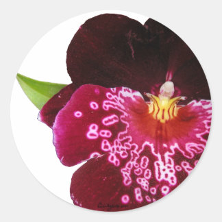 Purple Wedding Flowers Envelope Seals