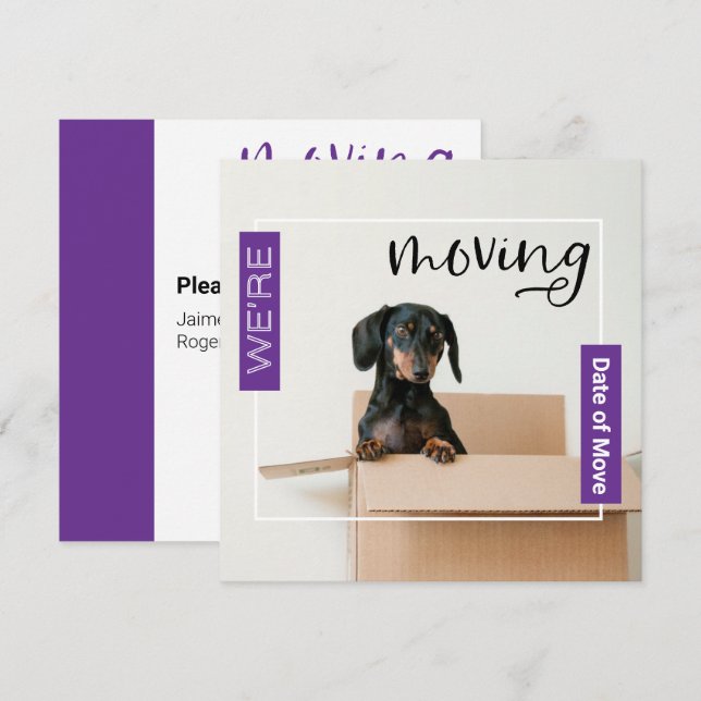 Purple We're Moving Dachshund Dog in Box Card (Front/Back)