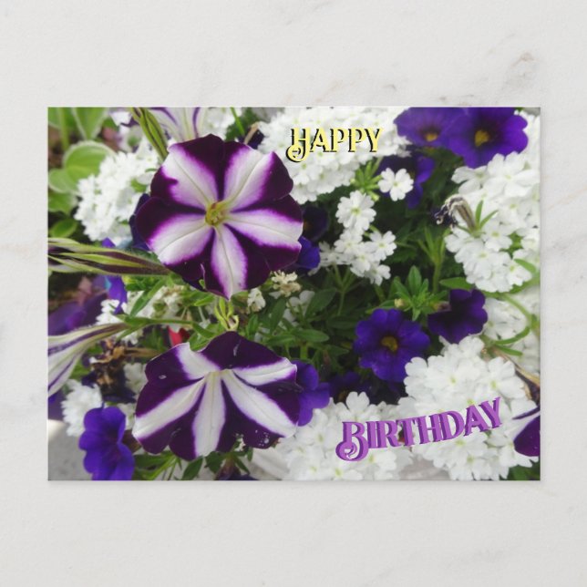 Purple White Blue Flowers Birthday Postcard (Front)
