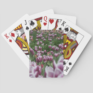 Purple & White Tulips Cards