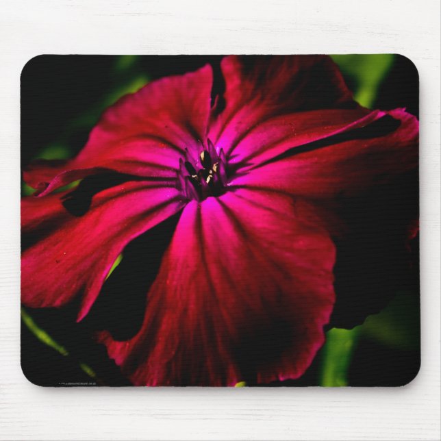 Purple Wild Flower mpcna Mouse Mat (Front)