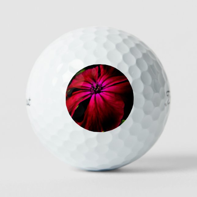 Purple Wild Flower tpv1 gbcna Golf Balls (Front)