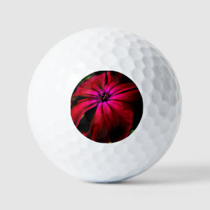 Purple Wild Flower va gbcna Golf Balls