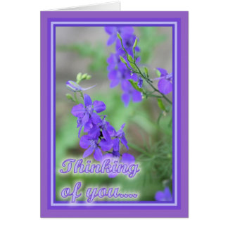 Purple Wild Flowers