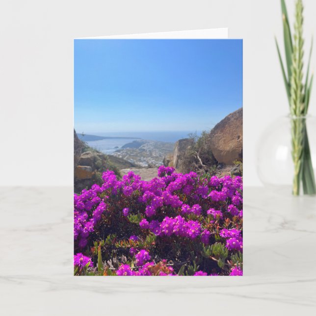 Purple Wild Flowers Santorini Greece Photography Card (Front)