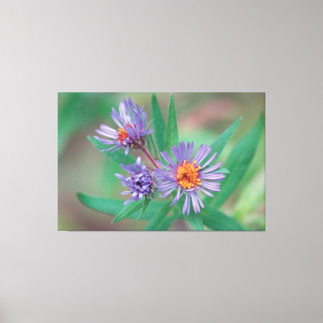 Purple Wildflower Canvas Art (Front)