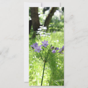 Purple Wildflower Flat Card