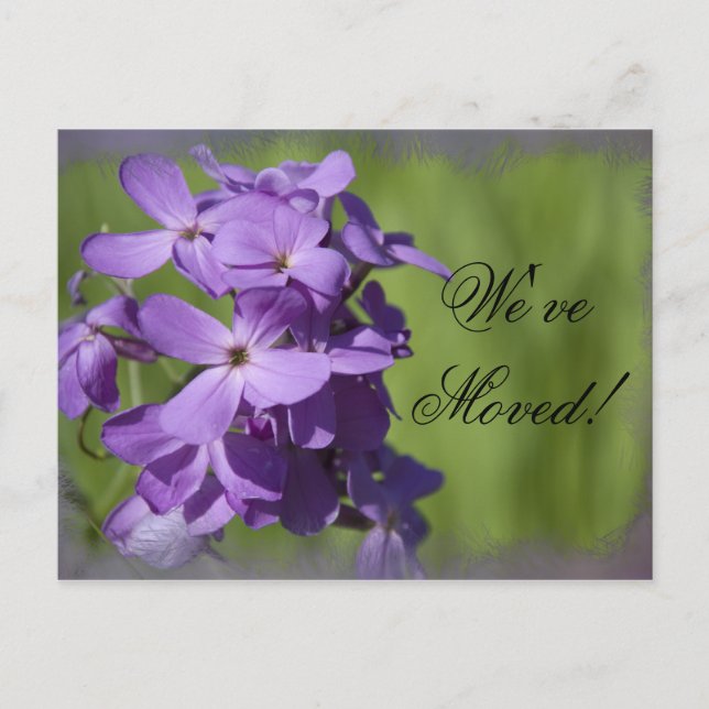 Purple Wildflowers Change of Address Announcement Postcard (Front)