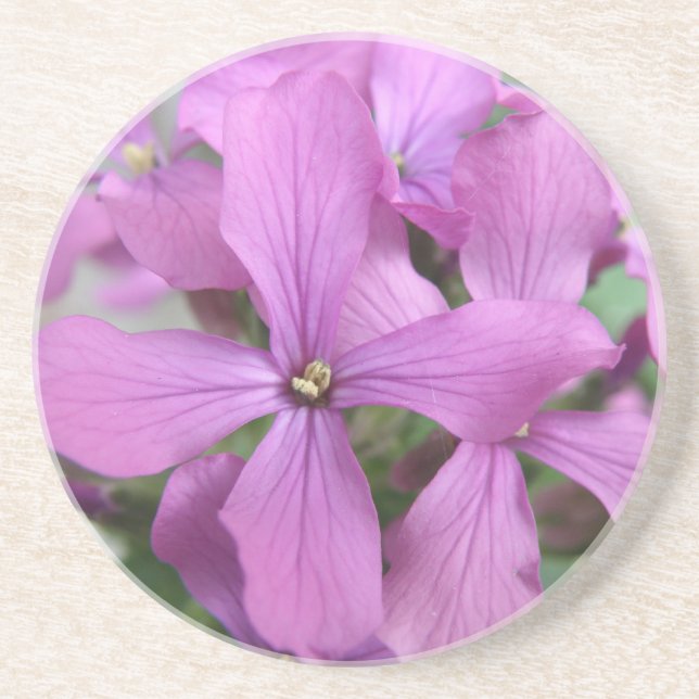 Purple Wildflowers Coasters (Front)