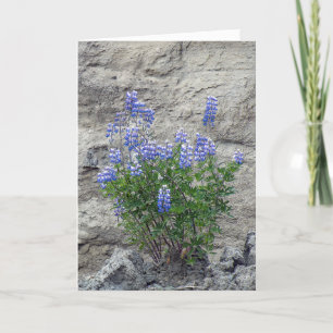 purple wildflowers in stone card