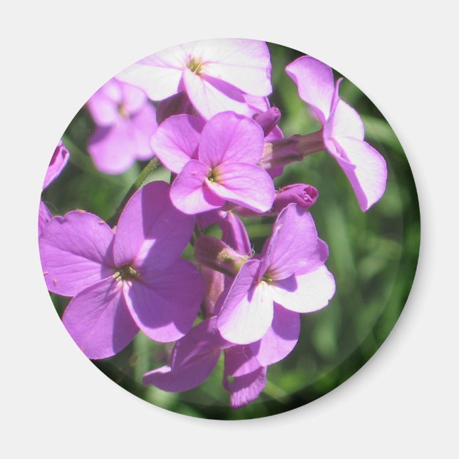 Purple Wildflowers Magnet (Front)