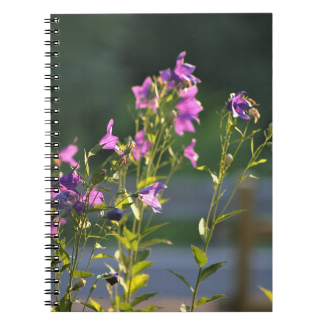 Purple Wildflowers  Notebook (Front)