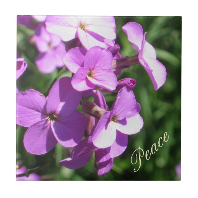 Purple Wildflowers-Peace Tile (Front)