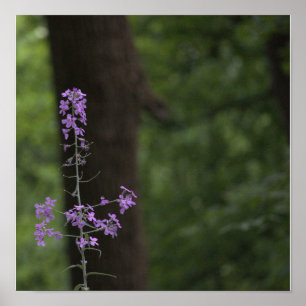 Purple Wildflowers Poster