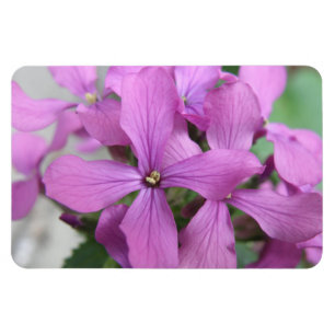 Purple Wildflowers Premium Magnet
