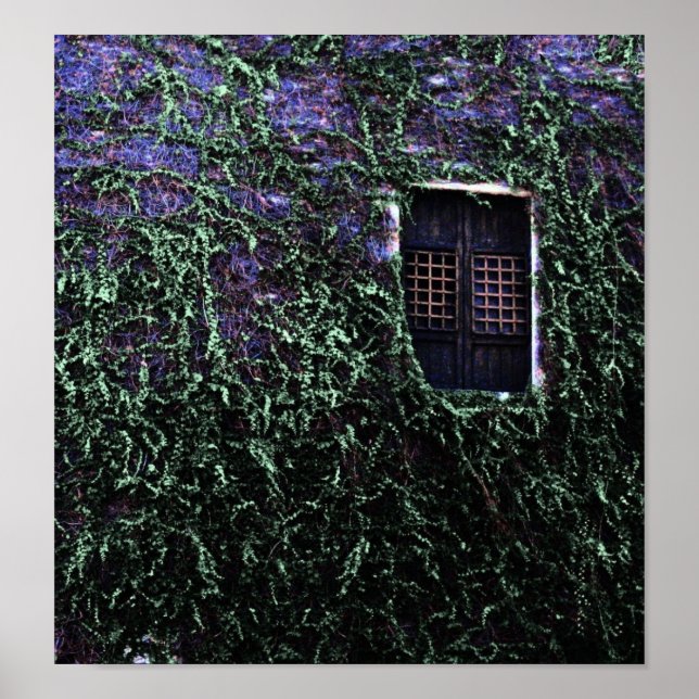 Purple Window ~ Poster / Print (Front)