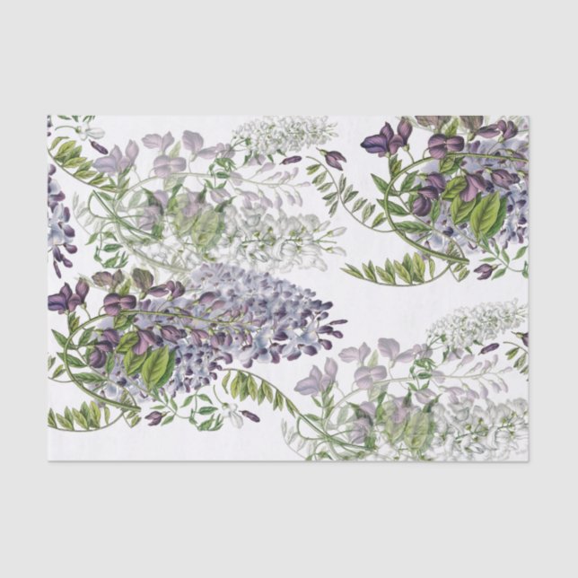 Purple Wisteria Custom Colour Tissue Paper (Front)