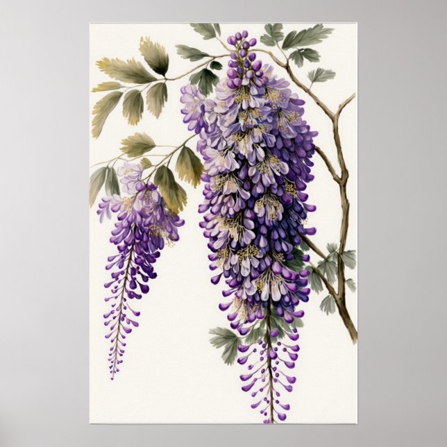 Purple Wisteria Flowers Art Print Poster (Front)